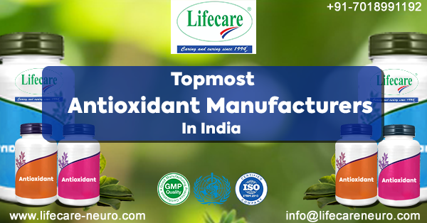 Topmost Antioxidant Manufacturers in India